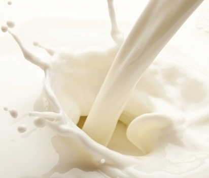Milk Products